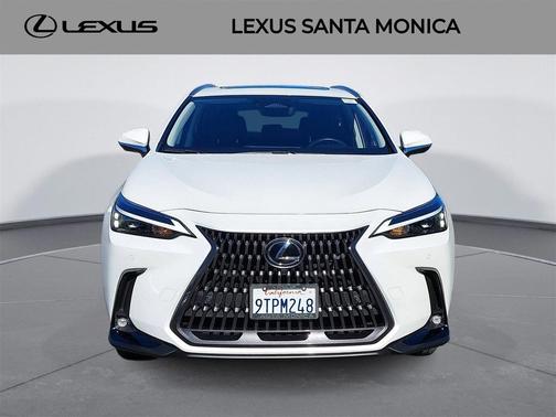 2025 Lexus NX 350h Premium
