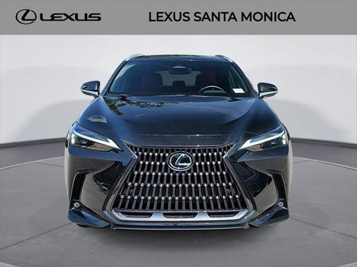 2023 Lexus NX 250 Premium