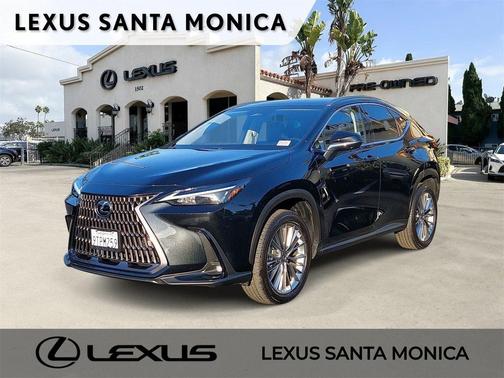 2025 Lexus NX 350h Premium