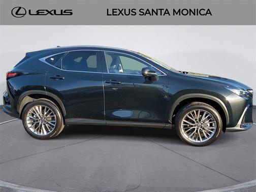 2025 Lexus NX 350h Premium