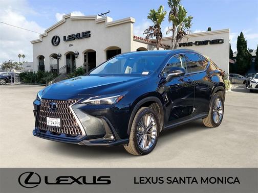 2025 Lexus NX 350h Premium