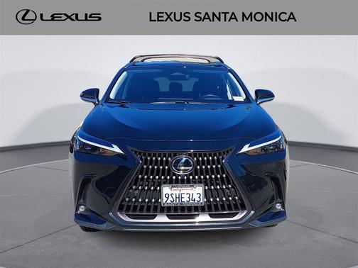 2025 Lexus NX 350h Premium