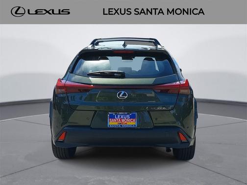 2025 Lexus UX 300h Premium