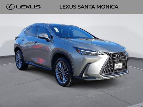 2022 Lexus NX 350 Luxury