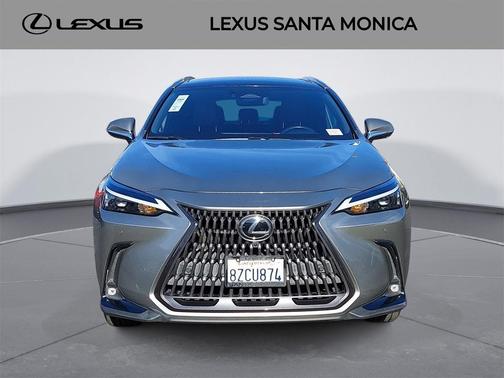 2022 Lexus NX 350 Luxury