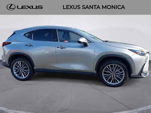 2022 Lexus NX 350 Luxury