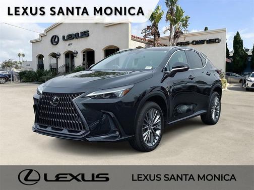 2023 Lexus NX 350 Luxury