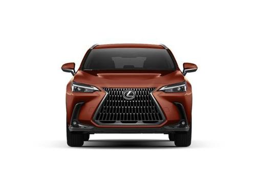 2025 Lexus NX 250 Base