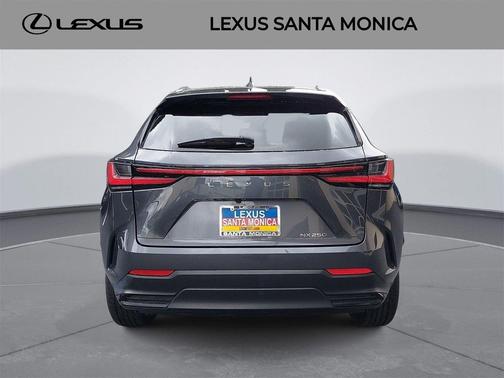 2022 Lexus NX 250 Premium