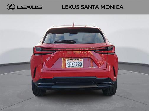 2025 Lexus NX 250 Base