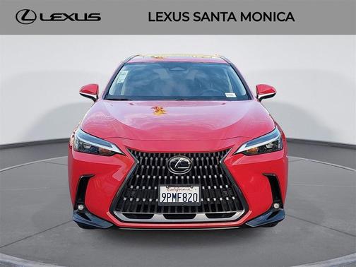 2025 Lexus NX 250 Base