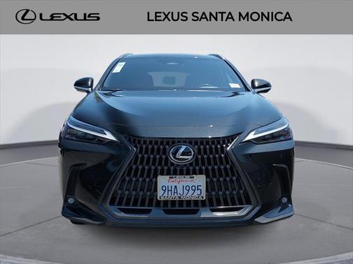 2024 Lexus NX 450h+ Luxury
