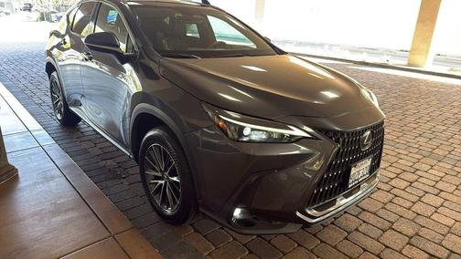 2022 Lexus NX 350 NX 350