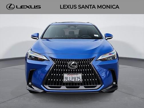 2024 Lexus NX 250 Base