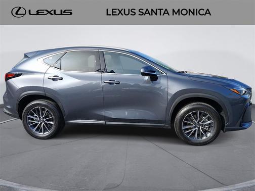 2025 Lexus NX 350h Premium