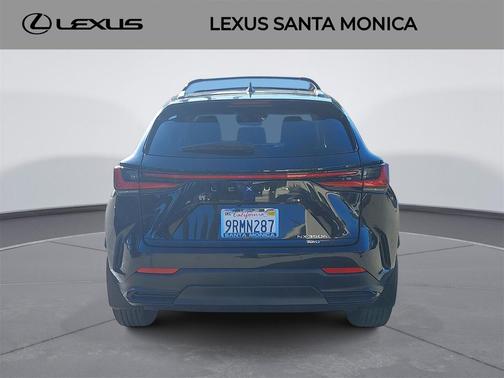 2025 Lexus NX 350h Premium