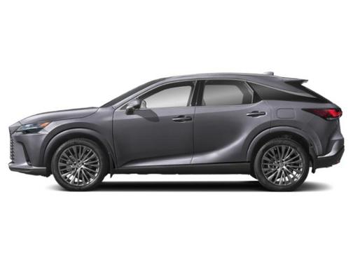 Nebula Gray Pearl 2023 Lexus RX 350 Luxury