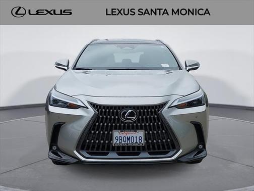 2022 Lexus NX 350 Luxury
