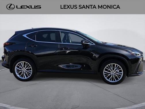 2025 Lexus NX 350h Luxury