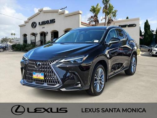 2025 Lexus NX 350h Luxury