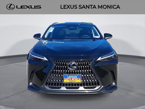 2025 Lexus NX 350h Luxury