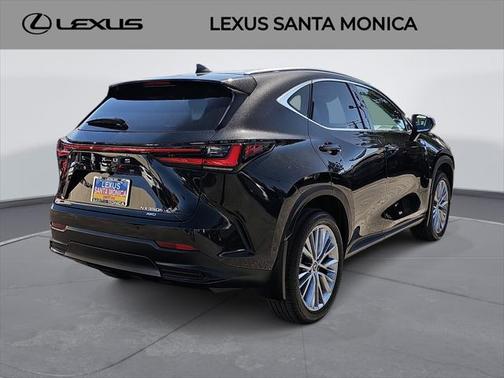 2025 Lexus NX 350h Luxury