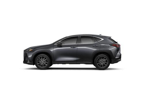2025 Lexus NX 250 Base