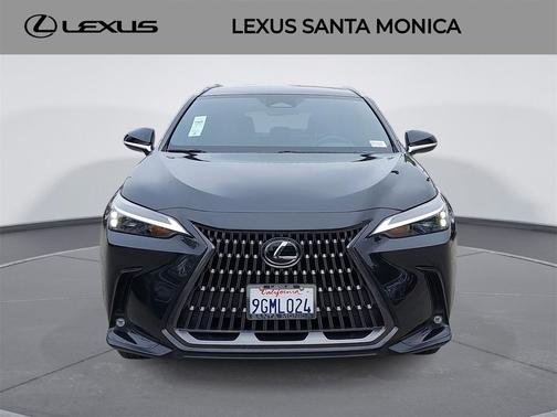 2024 Lexus NX 250 Base