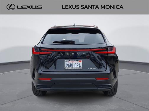 2024 Lexus NX 250 Base