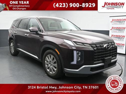 Sierra Burgundy 2024 Hyundai PALISADE SEL