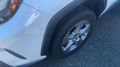 Ice Cap 2023 Toyota RAV4 XLE