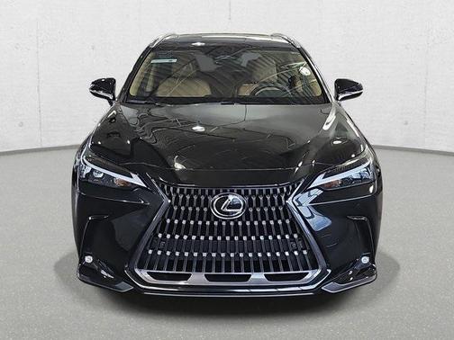 2025 Lexus NX 250 Base