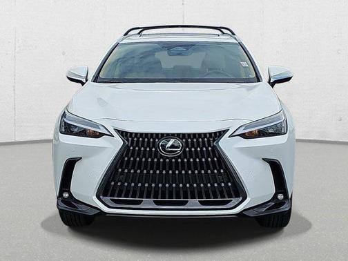 2025 Lexus NX 350h 350h Base