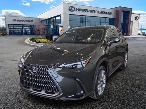 2025 Lexus NX 350 Premium