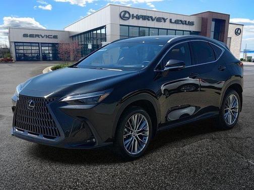 2024 Lexus NX 350h Luxury