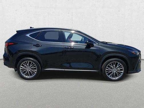 2024 Lexus NX 350h Luxury