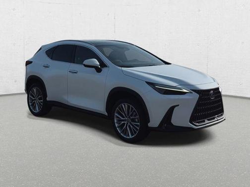 2024 Lexus NX 350 Luxury