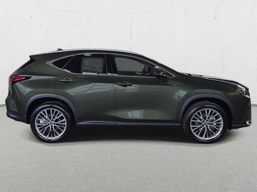 Green Pearl 2026 Lexus NX 350h Premium