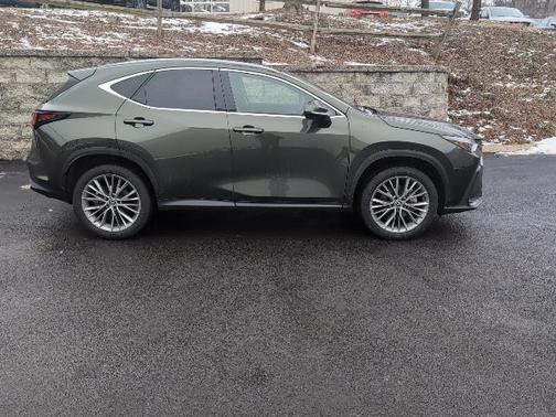 2025 Lexus NX 350 Premium