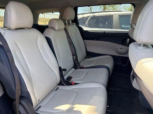 Panthera Metal 2025 Kia Carnival EX