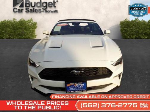 Oxford White 2023 Ford Mustang EcoBoost Premium