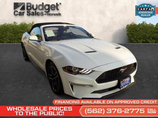 Oxford White 2023 Ford Mustang EcoBoost Premium