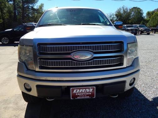 2009 Ford F-150 Platinum