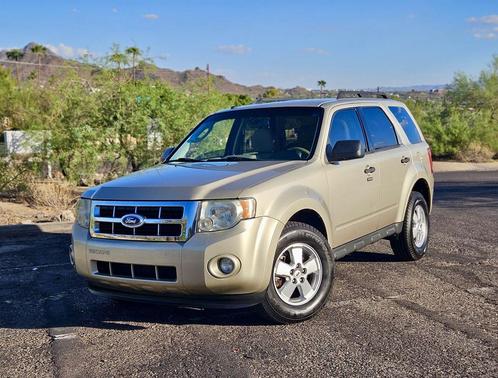 2010 Ford Escape XLT