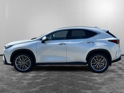 2025 Lexus NX 350 Luxury