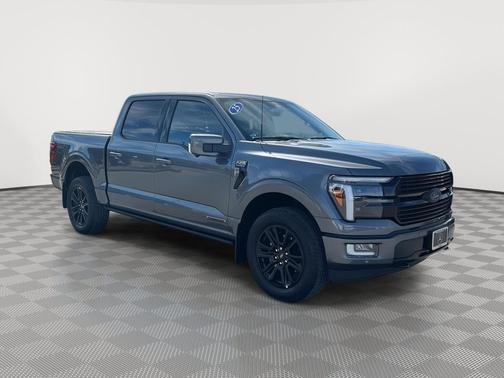 Carbonized Gray Metallic 2025 Ford F-150 Platinum