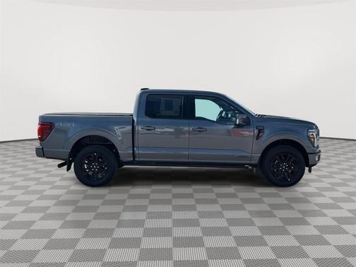 Carbonized Gray Metallic 2025 Ford F-150 Platinum