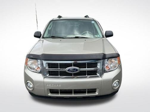 Tan 2010 Ford Escape XLT