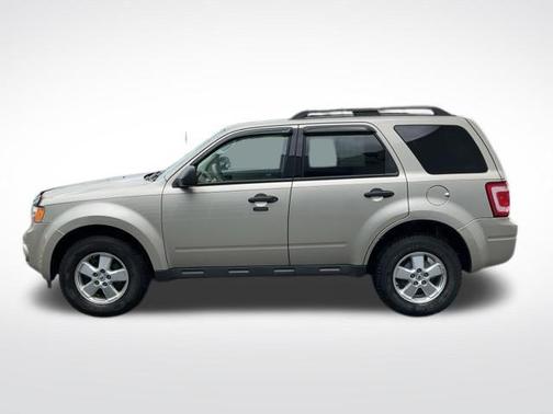 Tan 2010 Ford Escape XLT