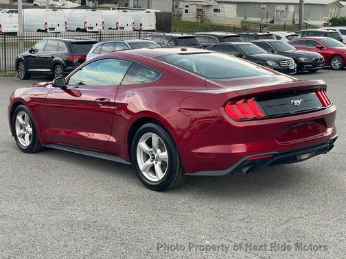 2019 Ford Mustang EcoBoost